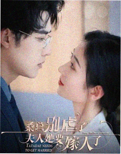 类型约定与破约概念对照图鉴